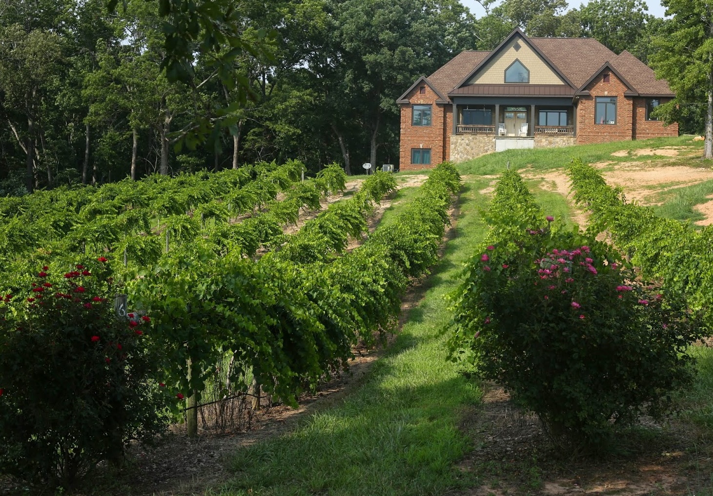 Currahee Vineyard and Winery